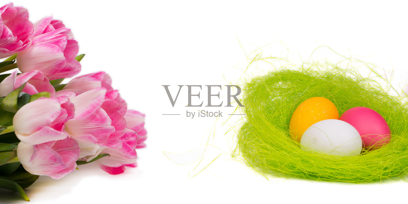 郁金香和蛋在巢,复活节横幅或头照片摄影图片