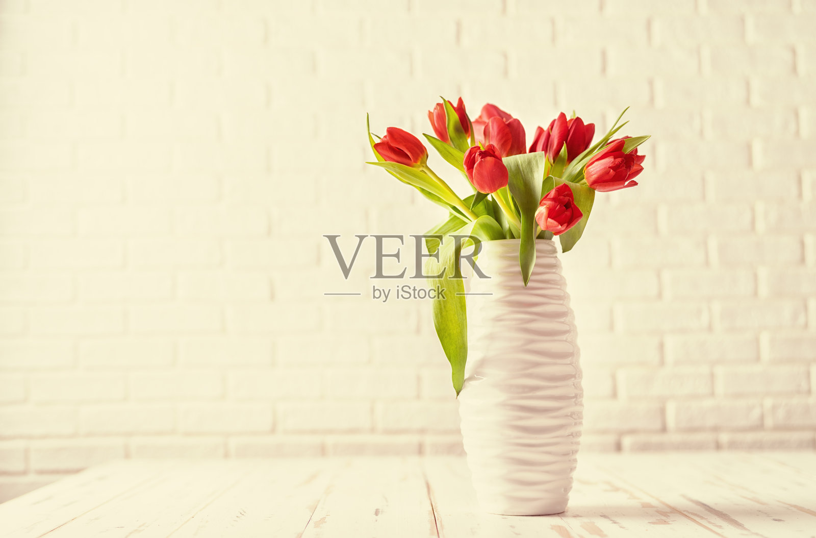 复古色调的郁金香在白色的背景白色花瓶照片摄影图片