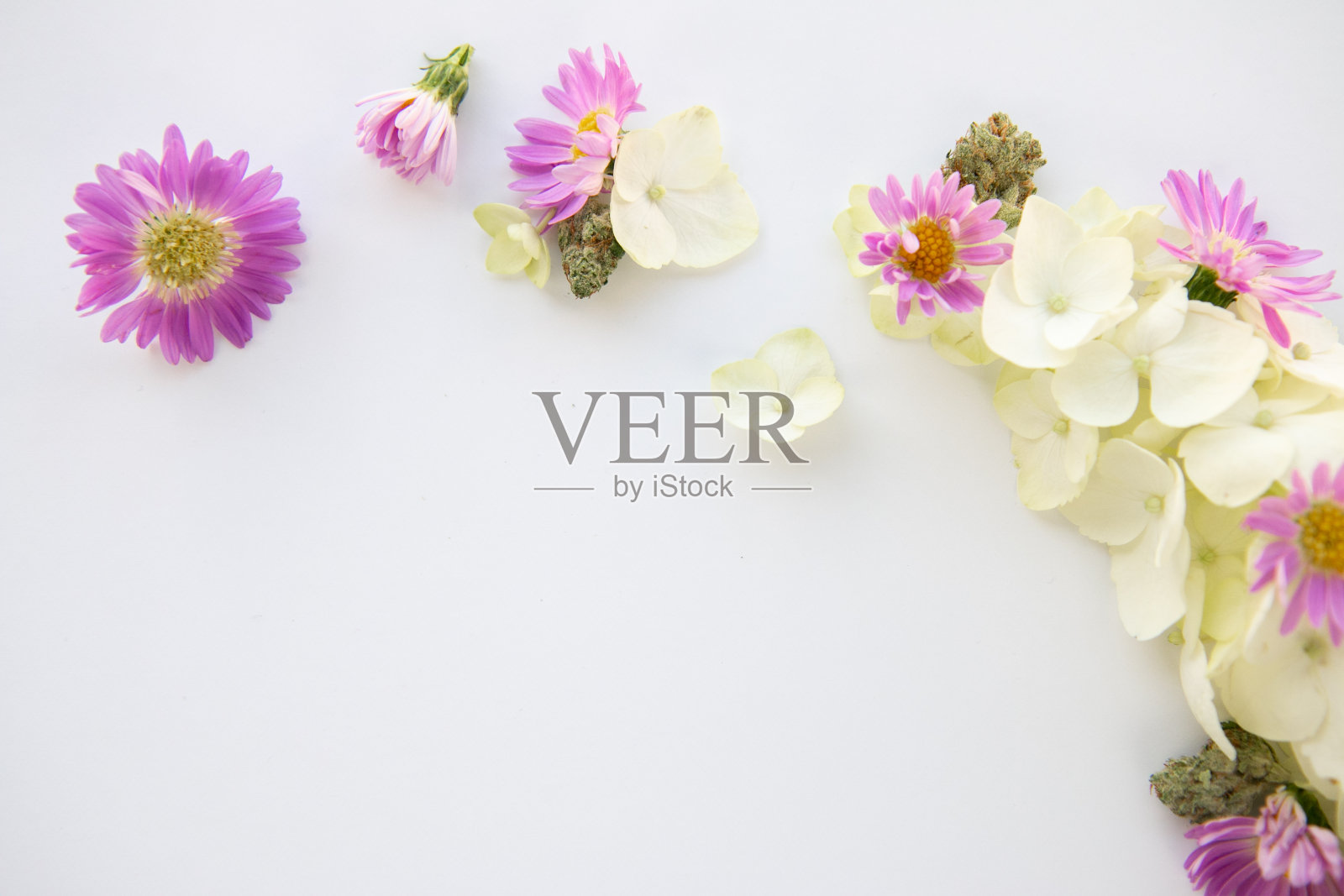 白色绣球和紫色雏菊大麻花束与大麻芽-自上而下右照片摄影图片