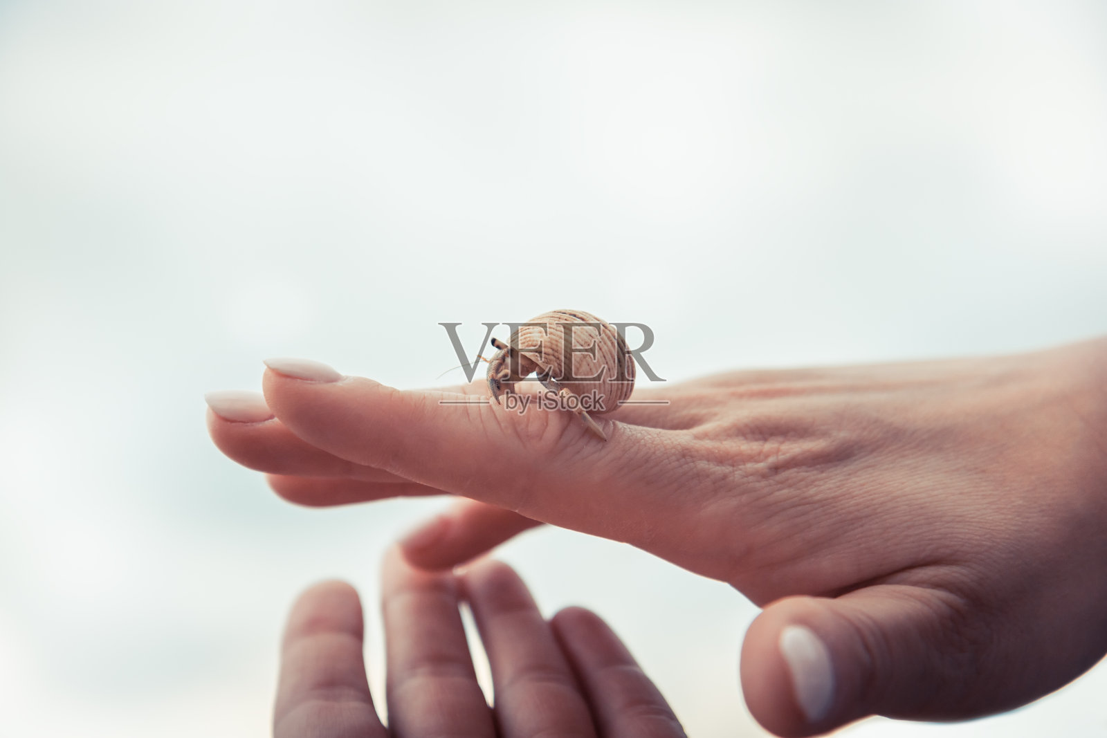 手握海龟细心呵护海龟养殖场的苗圃理念,助力关怀前行照片摄影图片