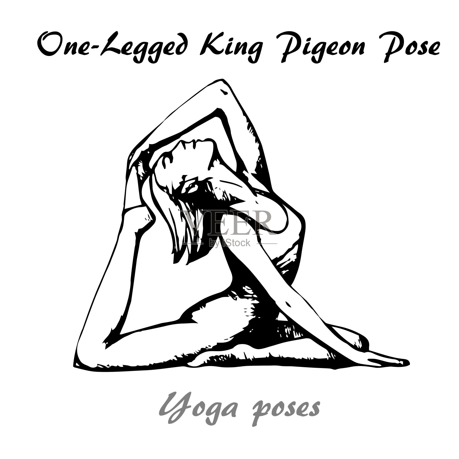 单腿王鸽子的瑜伽姿势插图插画图片素材
