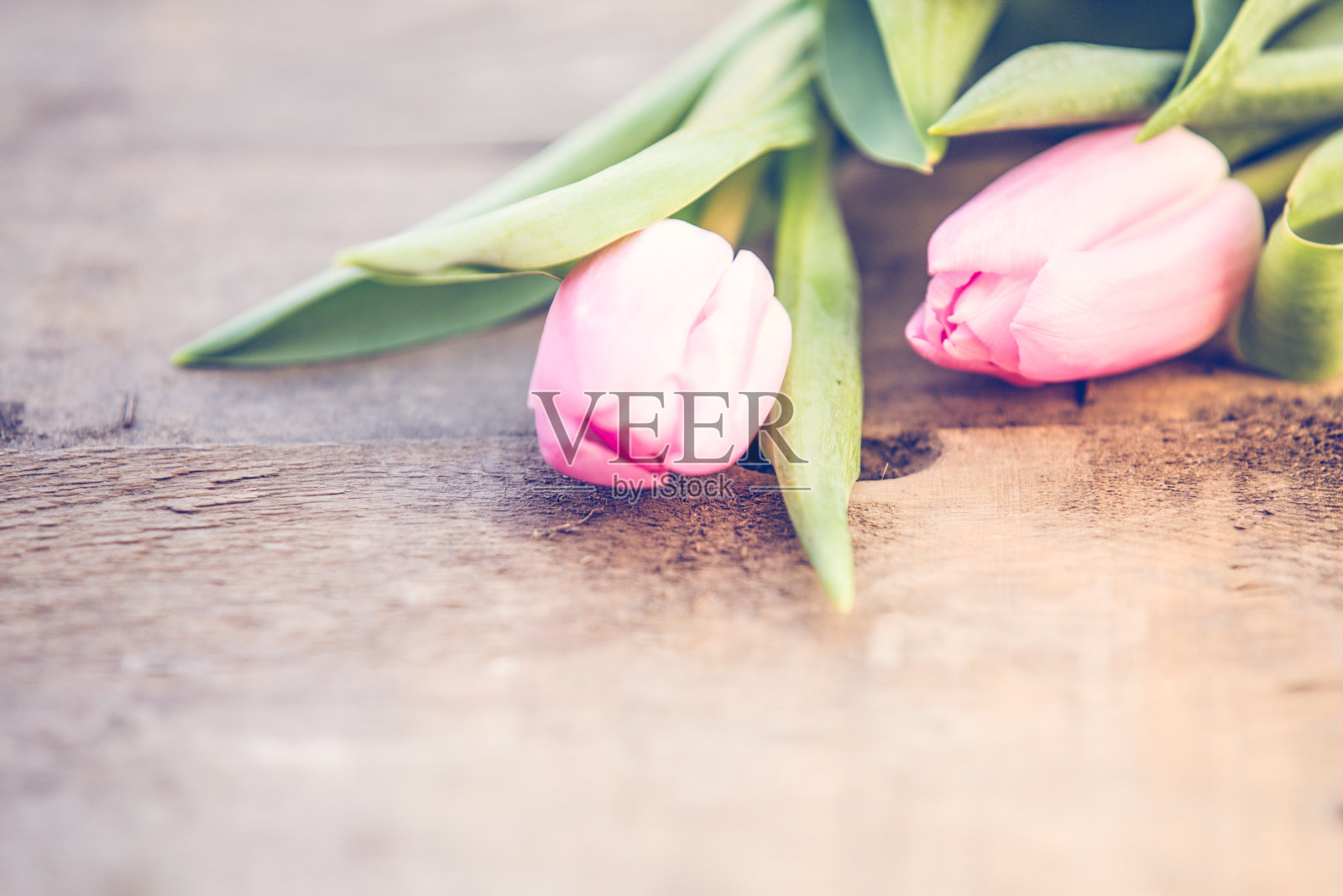 粉红色的郁金香在质朴的木桌上,浪漫的背景照片摄影图片