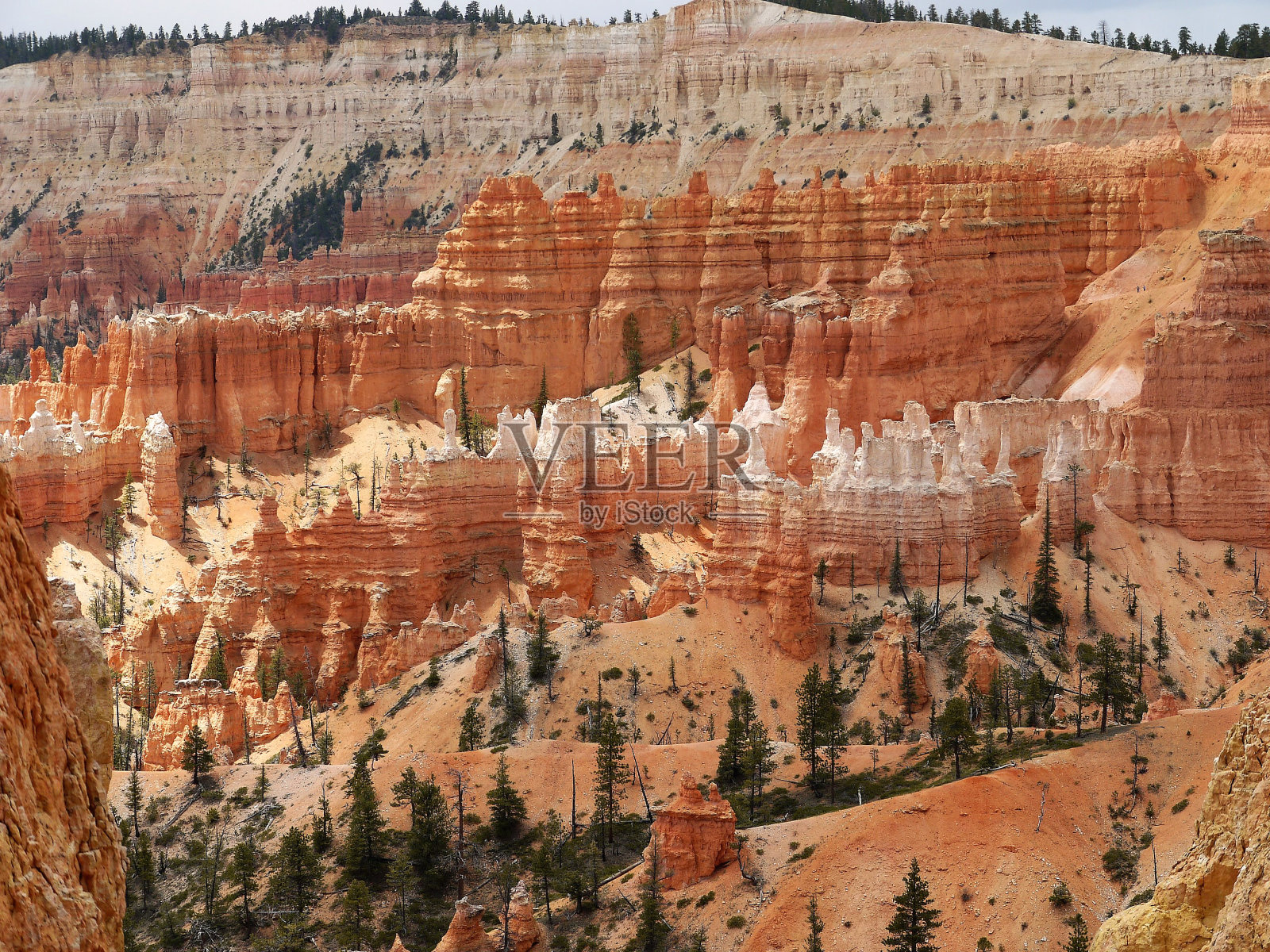 布莱斯峡谷国家公园-美国犹他州照片摄影图片