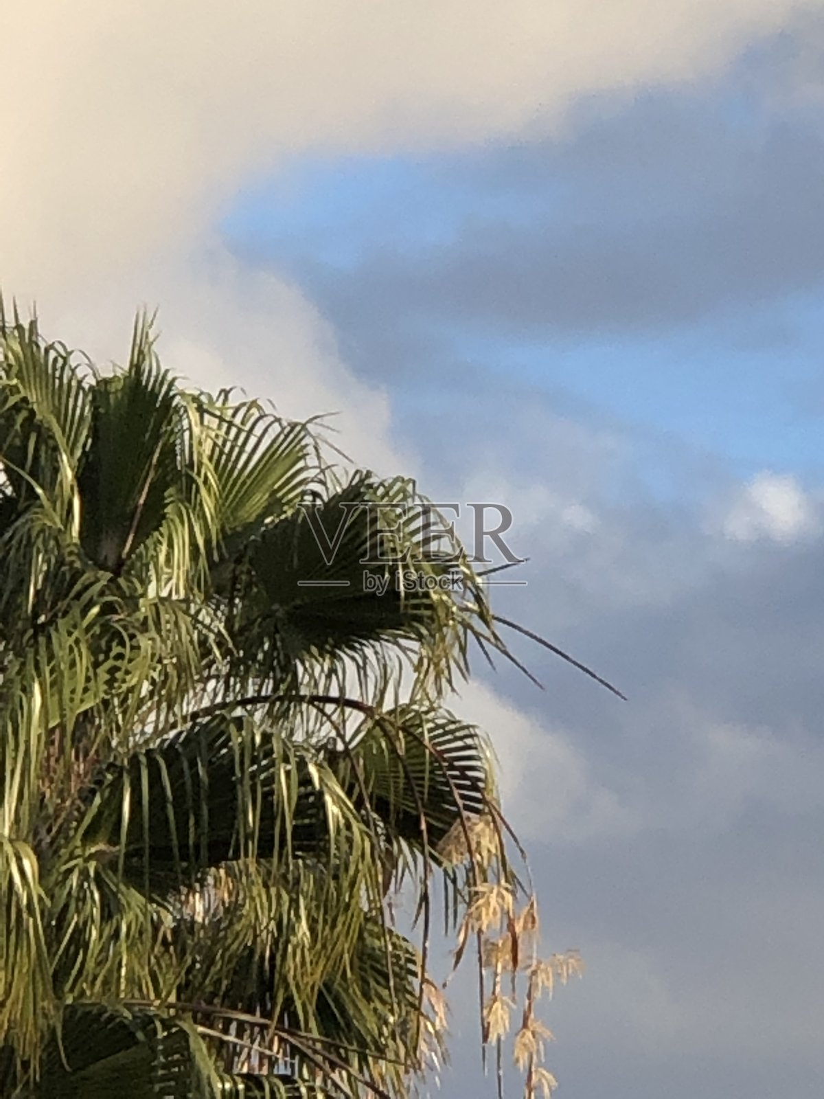 乌云轮廓照片摄影图片