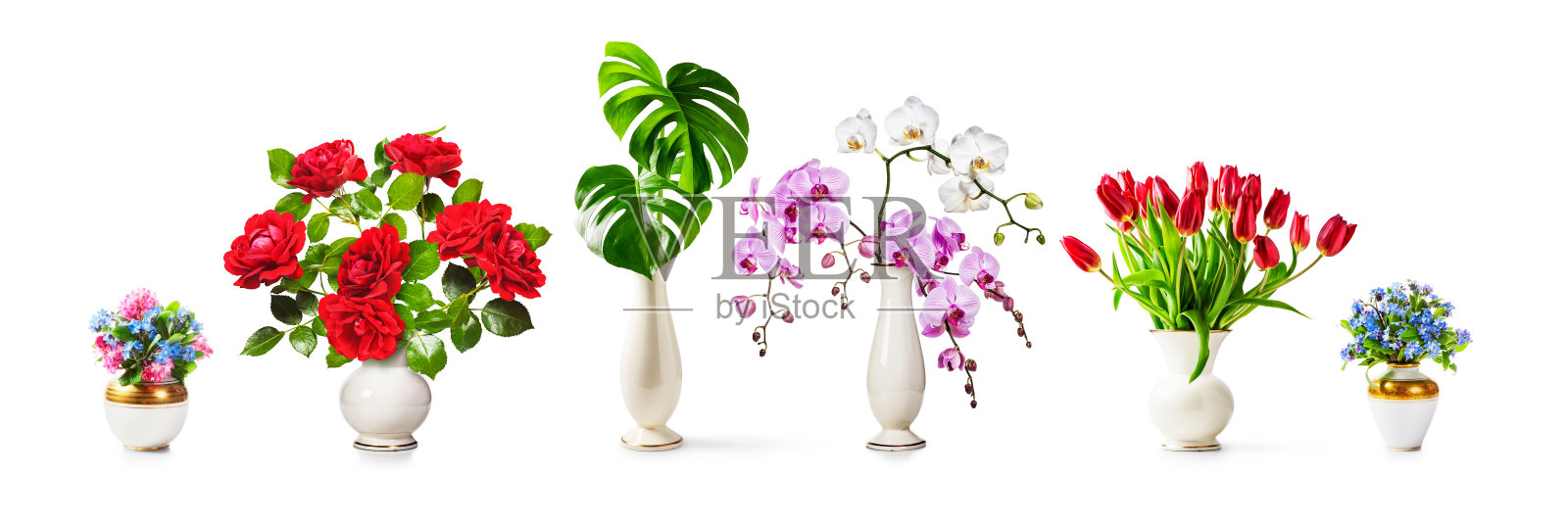 浪漫的花瓶花照片摄影图片