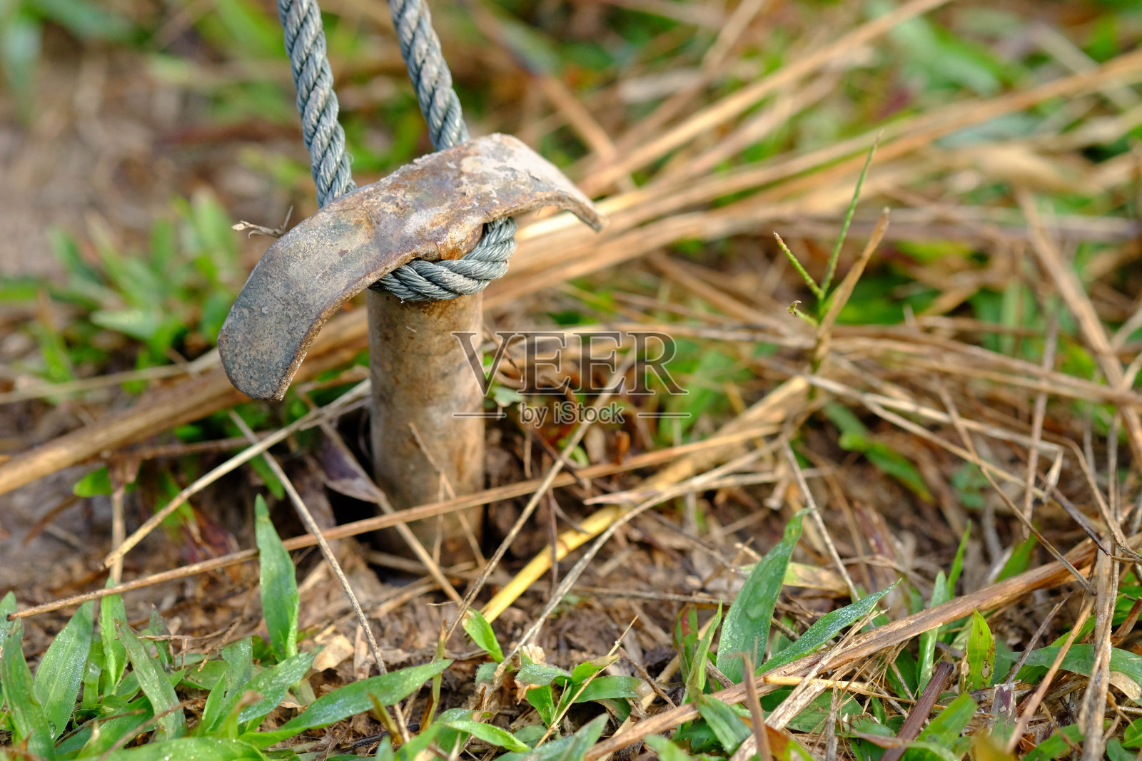 自然景观锚定在丛林或森林的绿色绳索和绿色草地的露营帐篷上,在秋冬或夏季徒步野餐度假放松和度假旅游。照片摄影图片