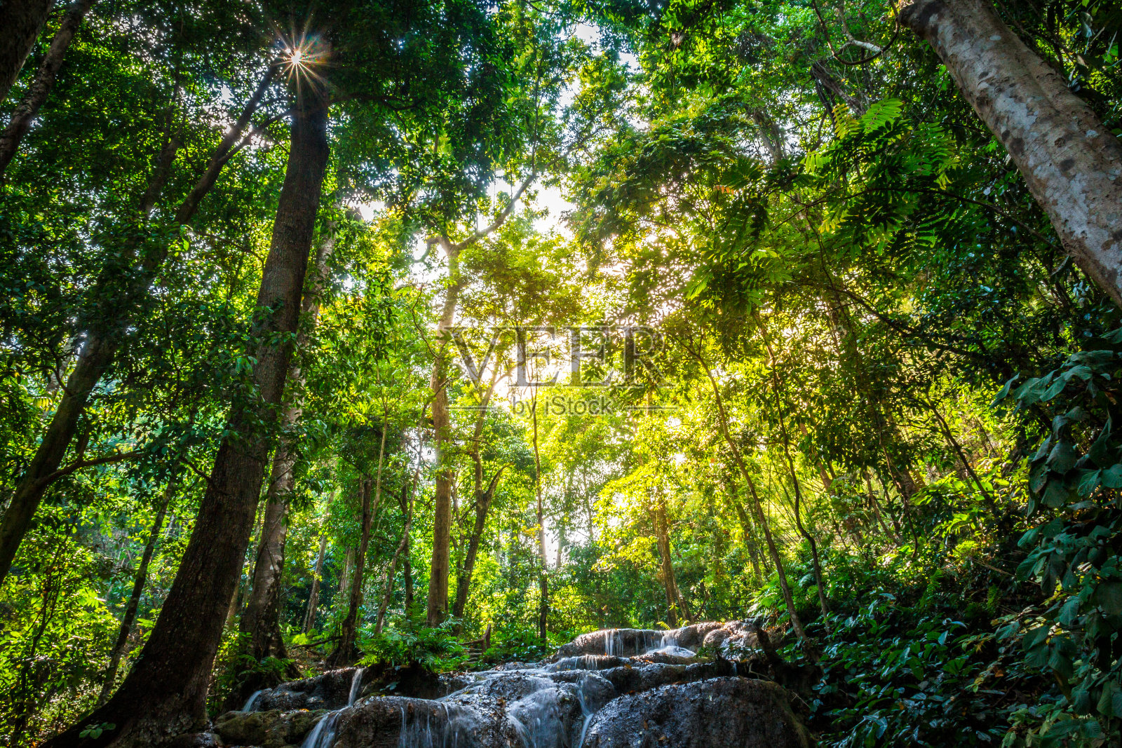 森林中的小瀑布照片摄影图片