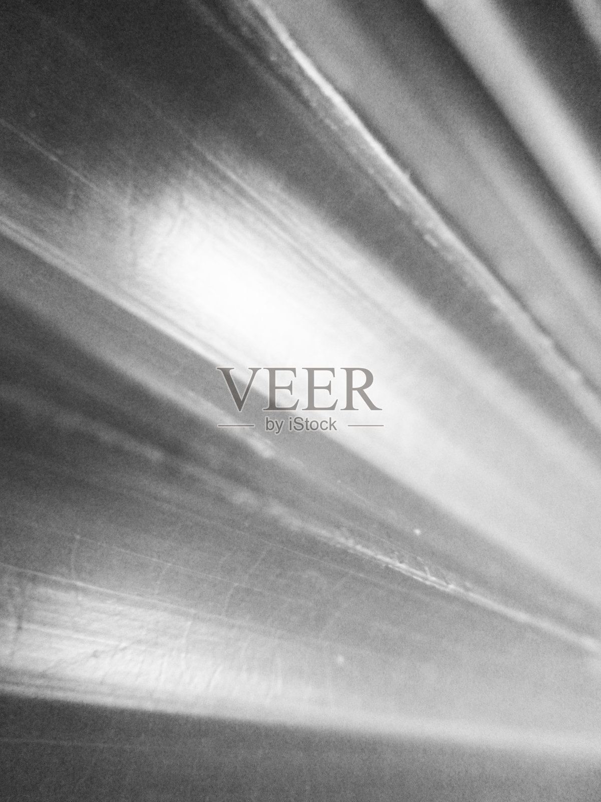 黑白自然花草植物照片摄影图片