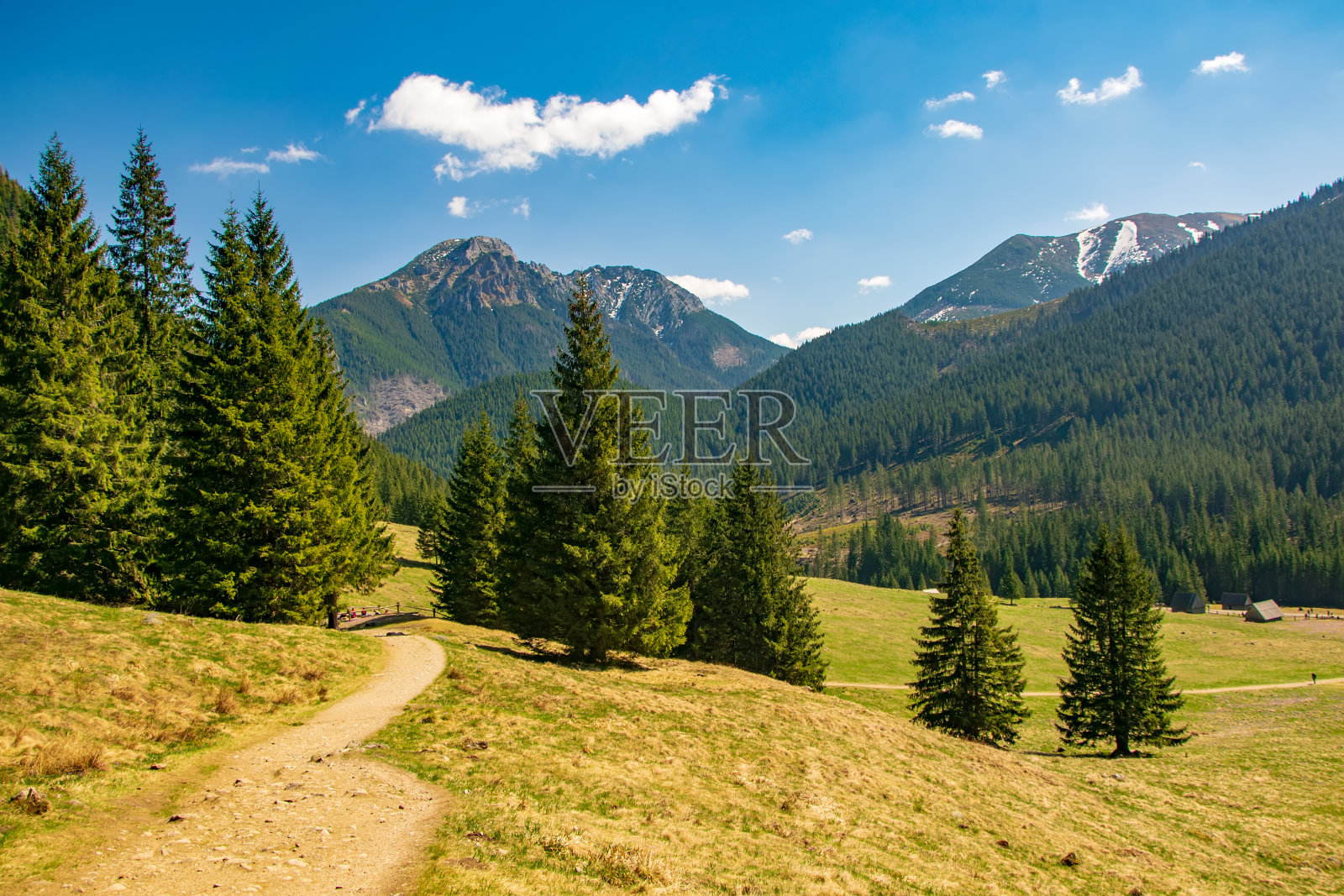 波兰塔特拉山脉,著名的乔乔洛夫斯卡林间的土路,背景是风景如画的山脉照片摄影图片