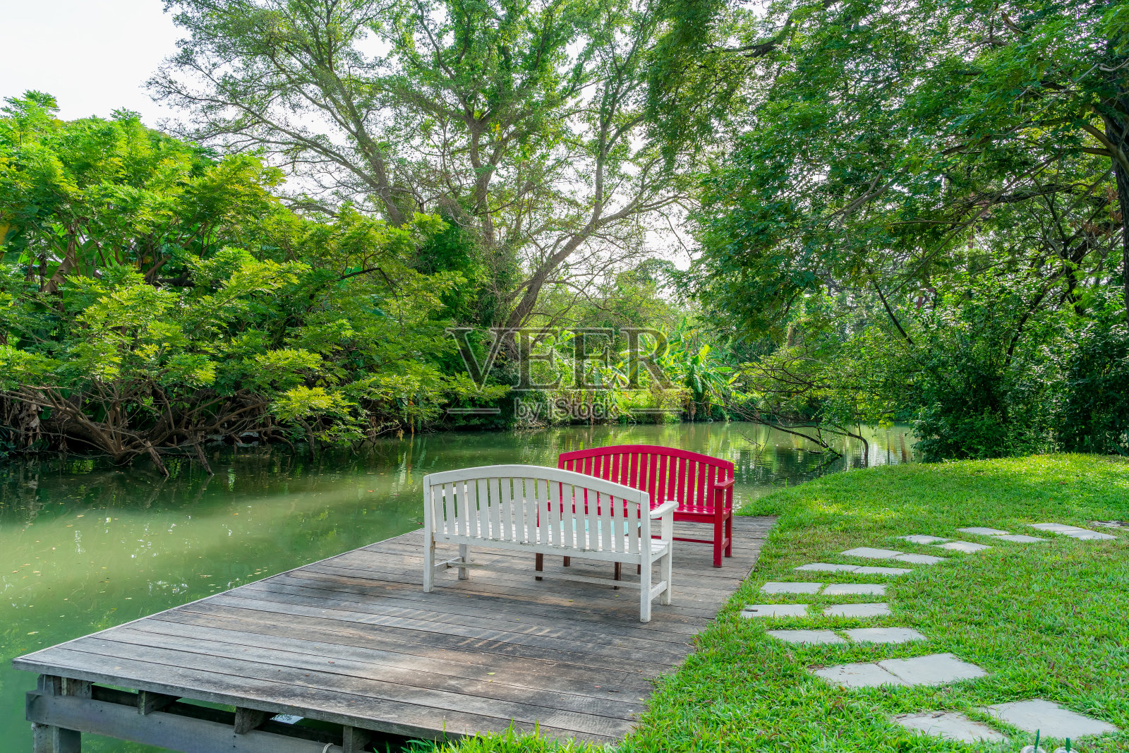 在花园长椅旁,水边郁郁葱葱,绿树成荫。照片摄影图片