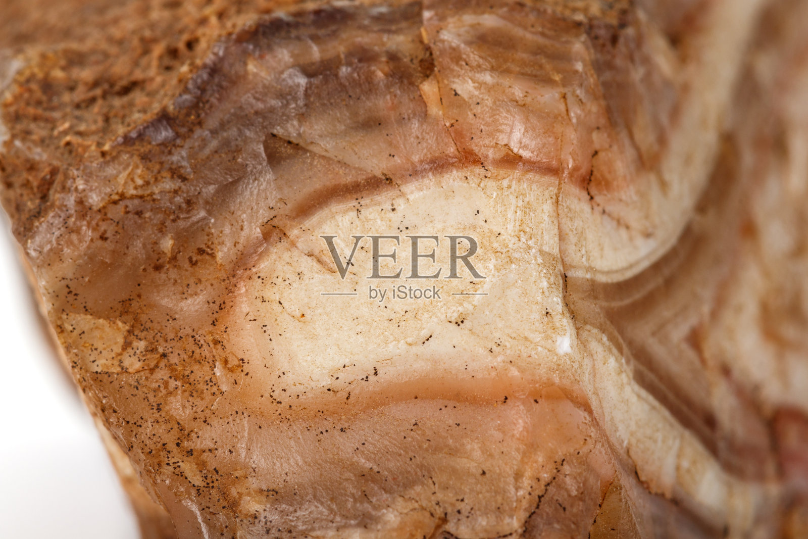 宏观矿物石玛瑙棕色的白色背景照片摄影图片