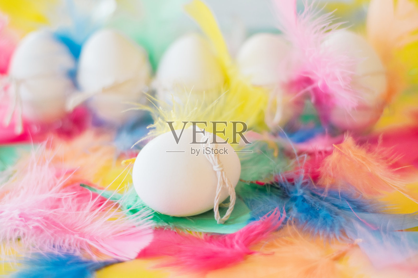 五彩缤纷的复活节装饰用羽毛照片摄影图片