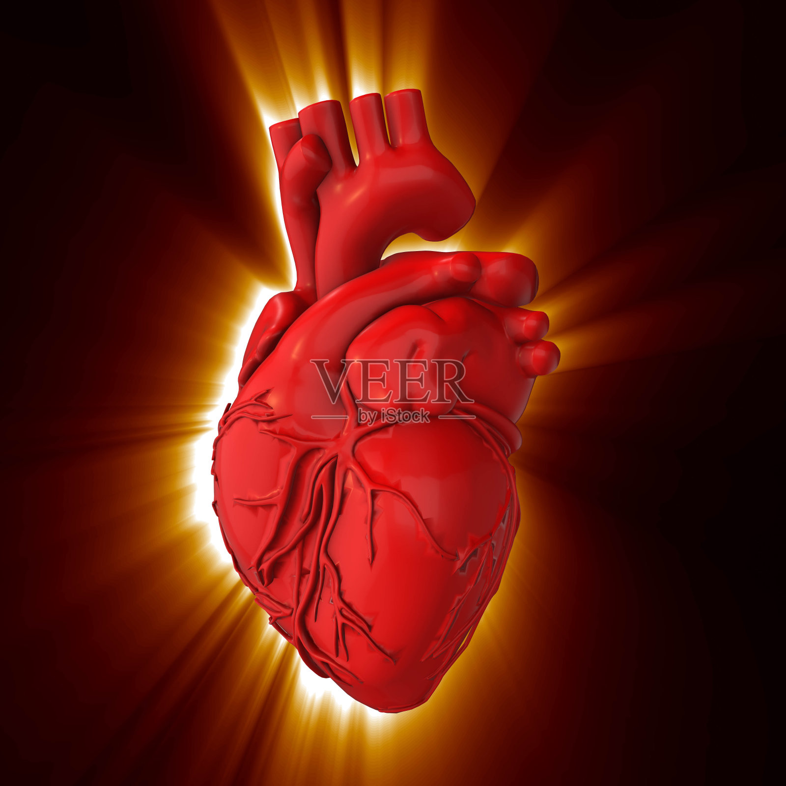 3D线框心渲染孤立的白色背景,3D渲染照片摄影图片