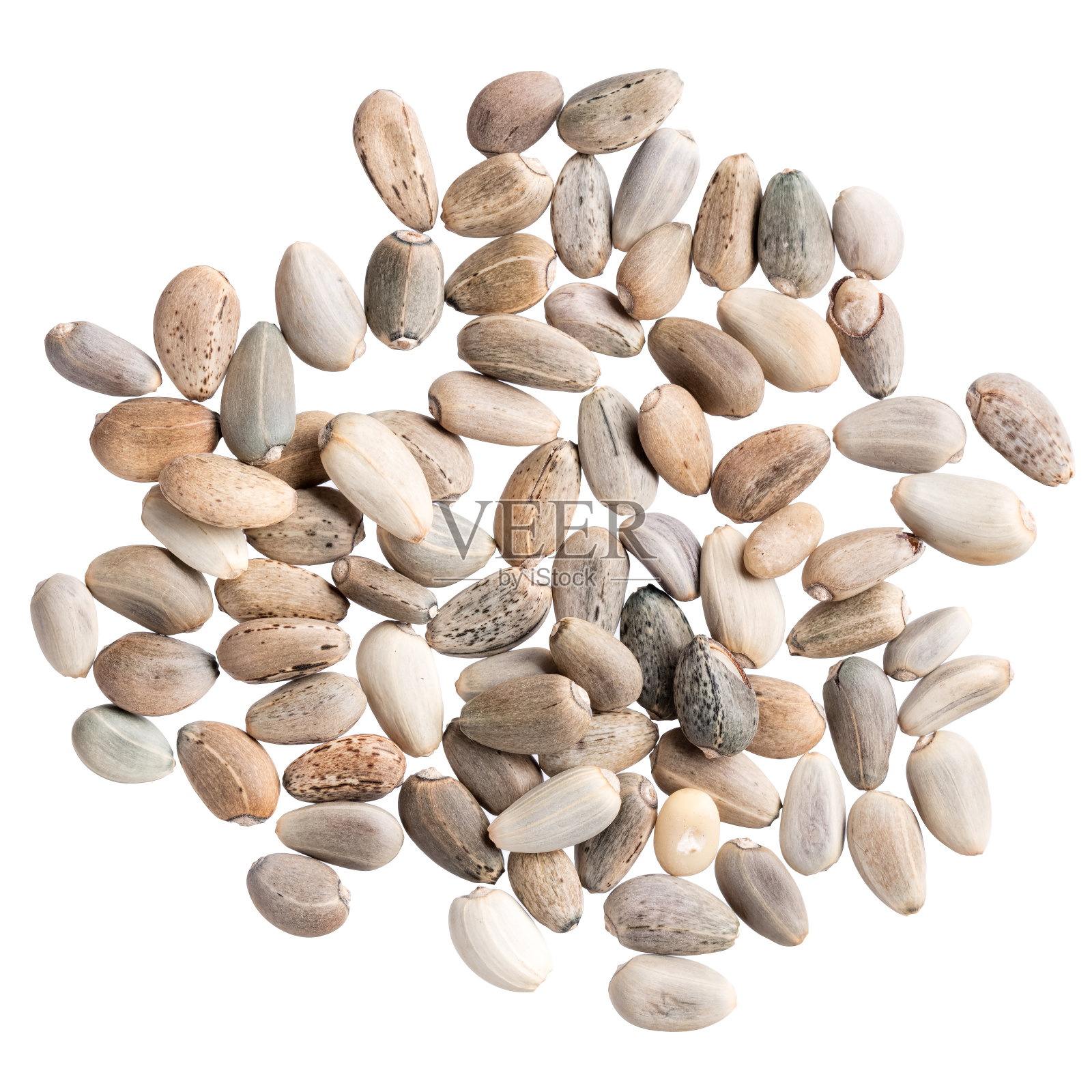 一堆优质的洋蓟种子,为您的个人美丽花园。可以用于创建时尚的包装与种子的背景。照片摄影图片