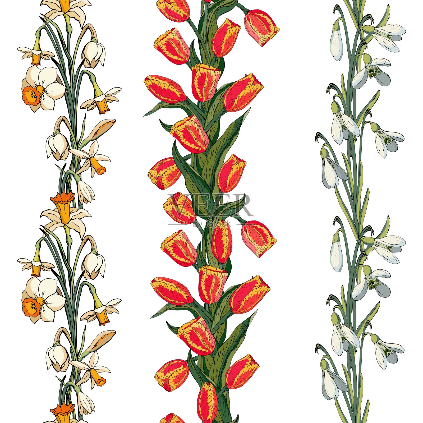 矢量花无缝模式与红色郁金香,雪花莲和水仙花(水仙)。米色背景插画图片素材