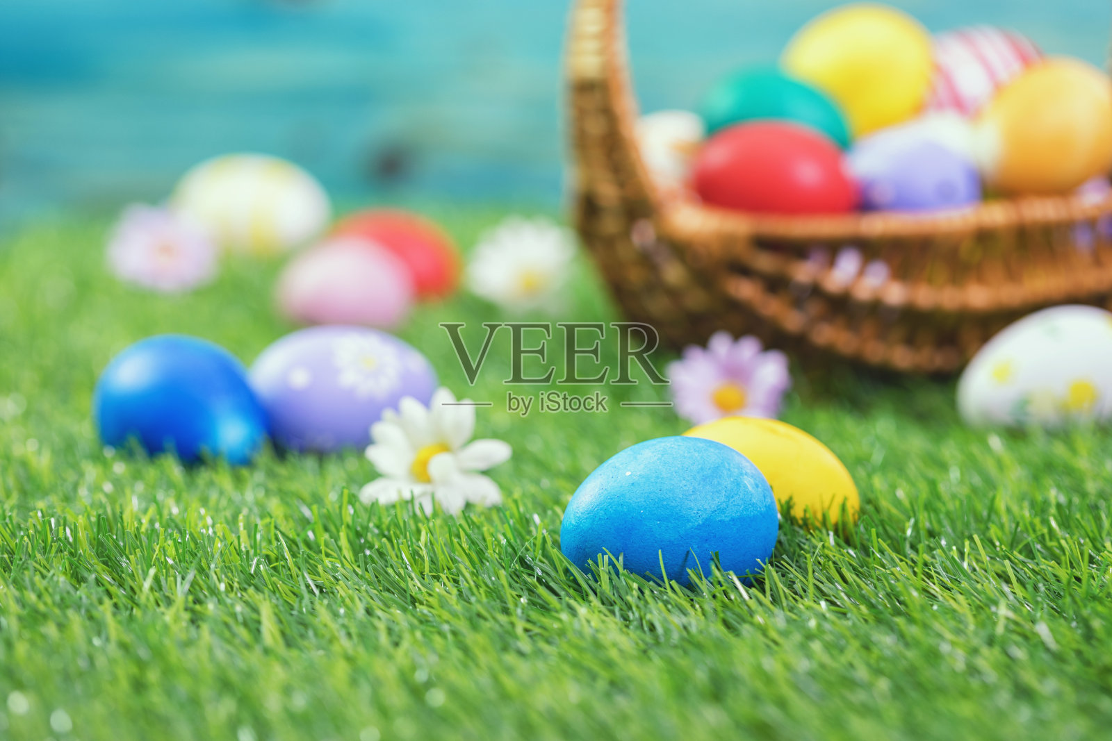 在绿草地上画复活节彩蛋照片摄影图片