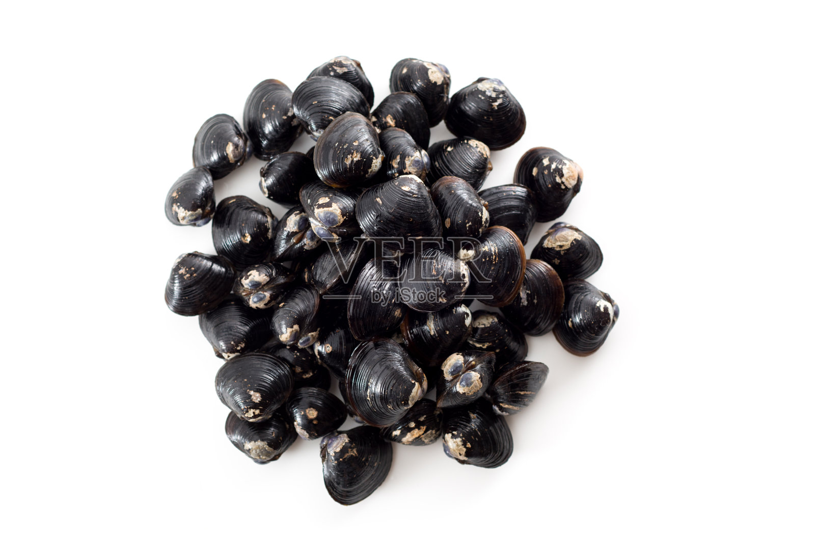 Shijimi蛤蜊。照片摄影图片