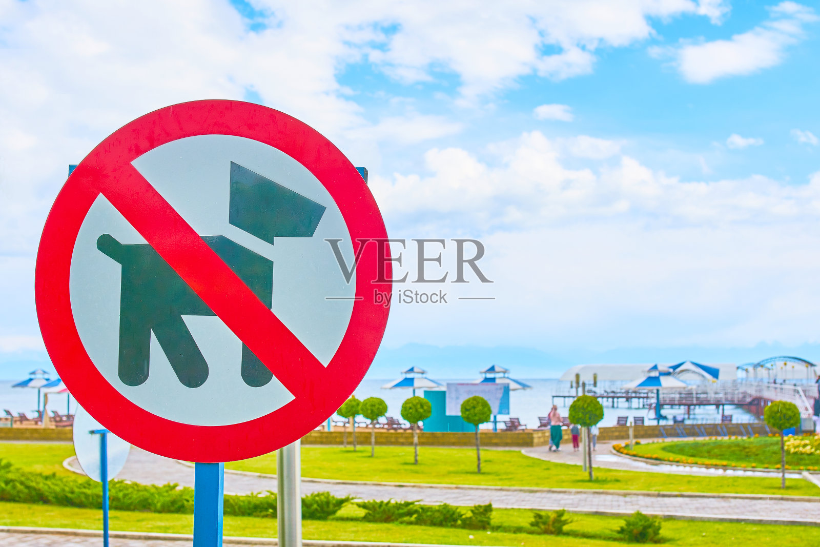 狗禁止标志。照片摄影图片