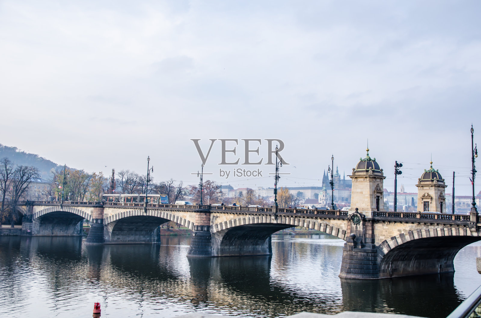 伏尔塔瓦河,伏尔塔瓦河,查尔斯桥和布拉格的白天鹅,捷克共和国照片摄影图片