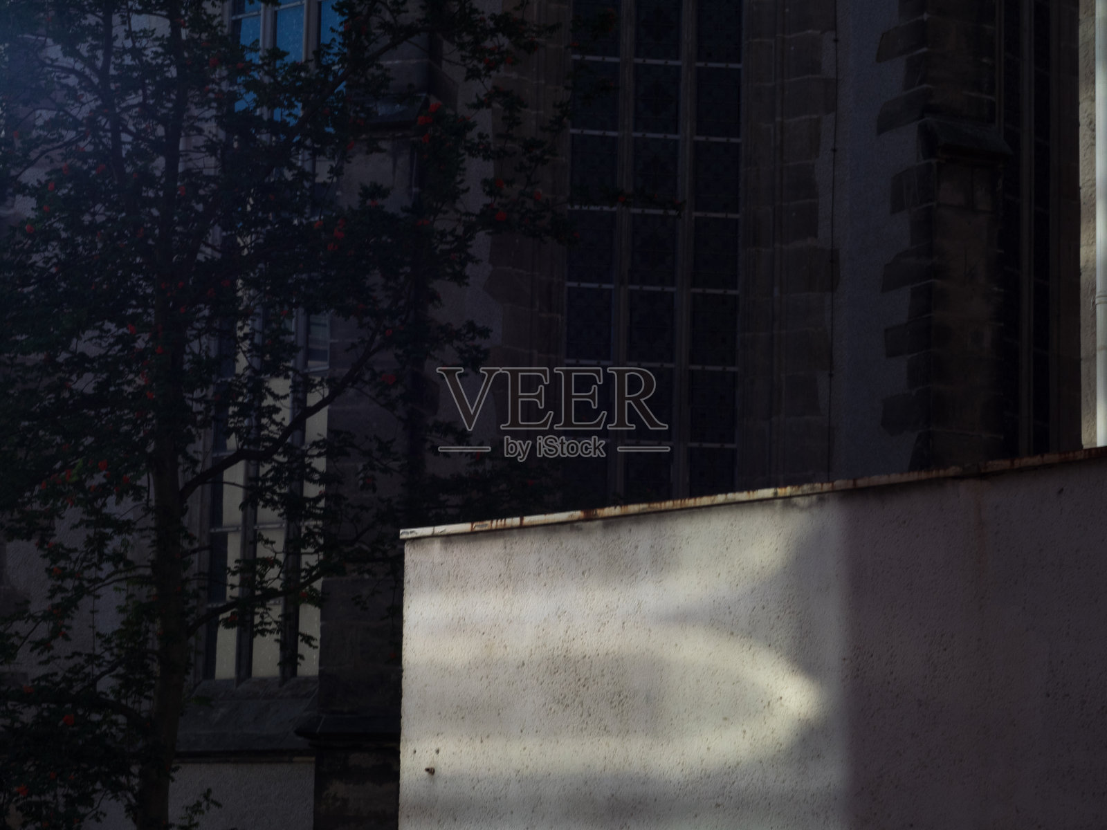 Gorlitz - Our Lady教堂(Frauenkirche)照片摄影图片