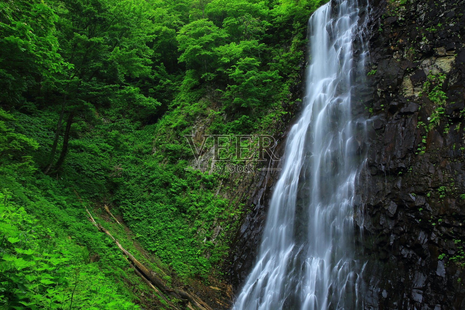 夏天的瀑布照片摄影图片