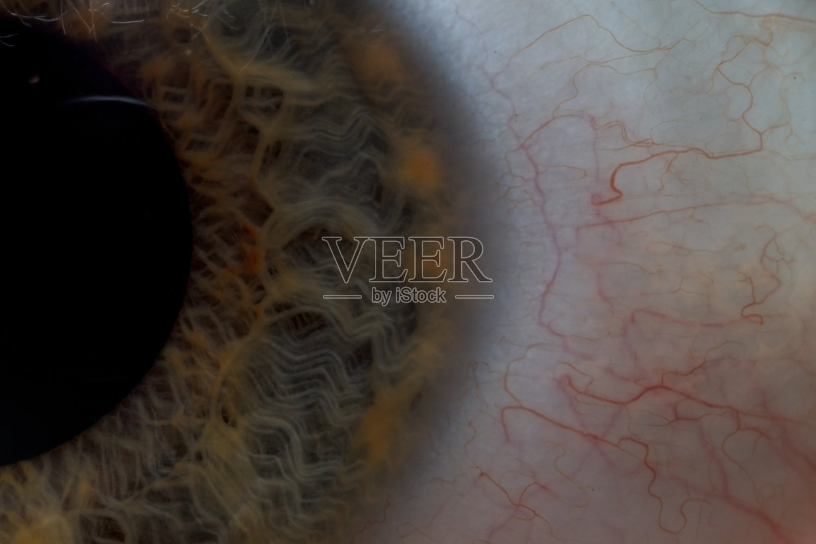 闭上眼睛照片摄影图片