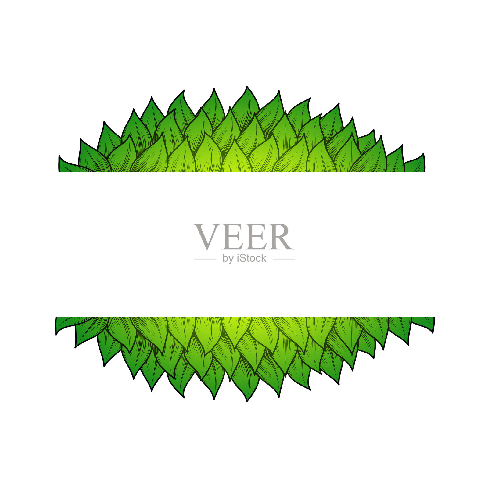 水平叶框架设计元素图片