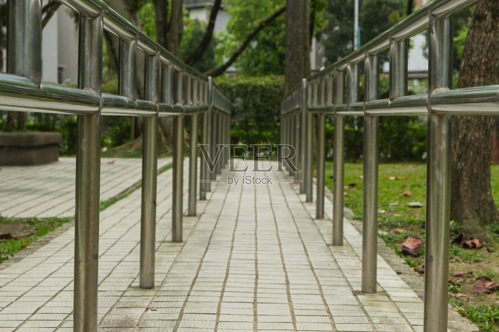 公园里的小路。亚洲的自然风光。照片摄影图片