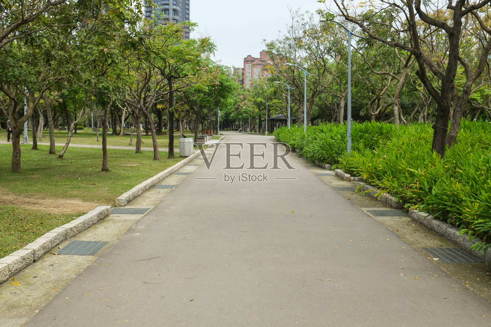 公园里的小路。亚洲的自然风光。照片摄影图片