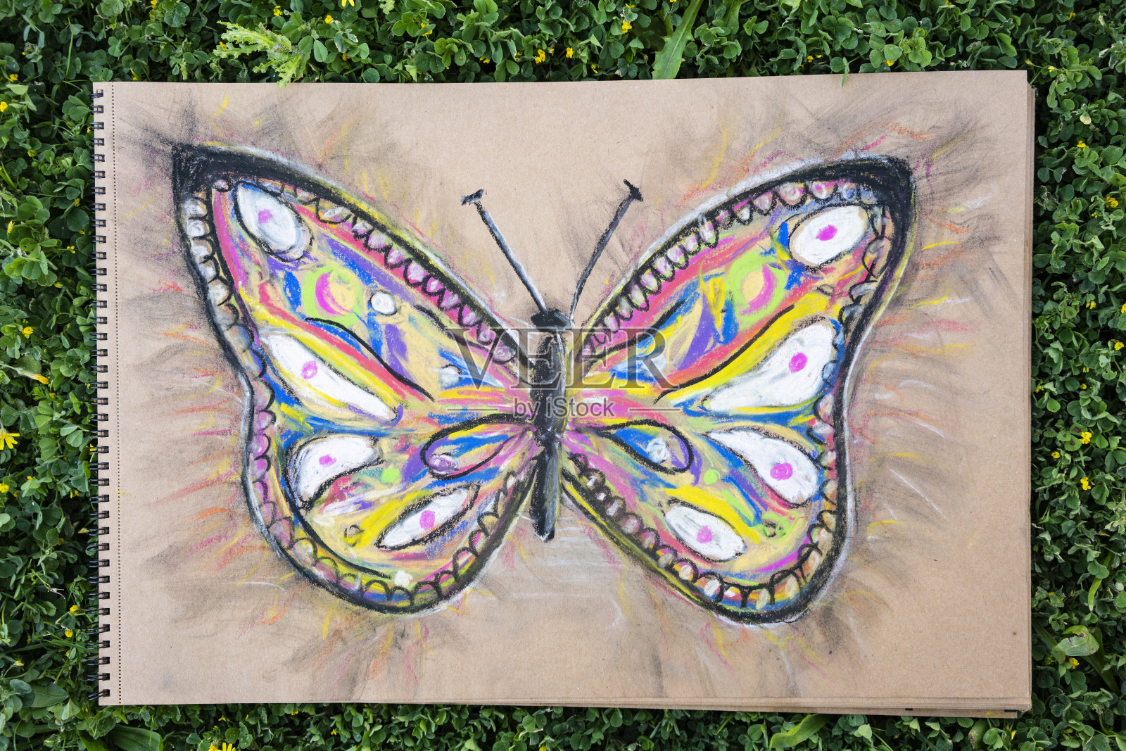 画家用彩色粉笔画的蝴蝶插画图片素材