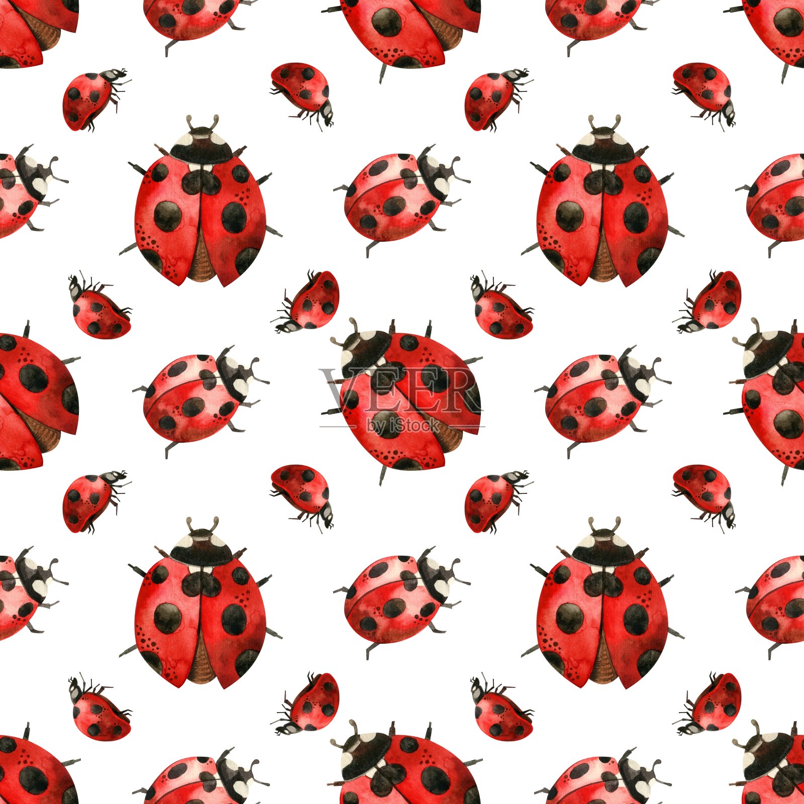 水彩图案可爱的红色瓢虫。插画图片素材