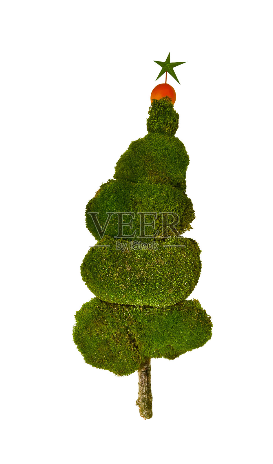 圣诞树。照片摄影图片