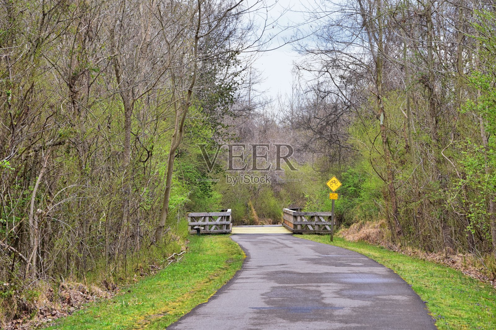 沿着Shelby Bottoms Greenway和自然区域坎伯兰河的道路,低洼地硬木森林,开阔的田野,湿地和小溪,纳什维尔,田纳西州的景观。美国。照片摄影图片
