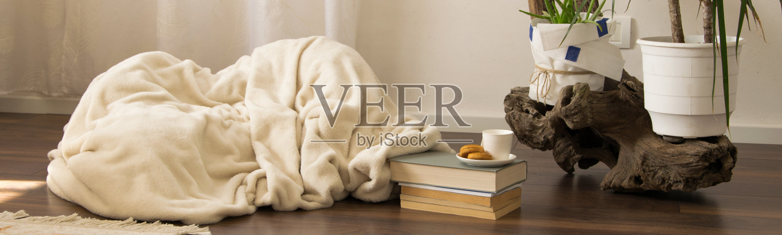 俯视图当代室内生活空间照片摄影图片