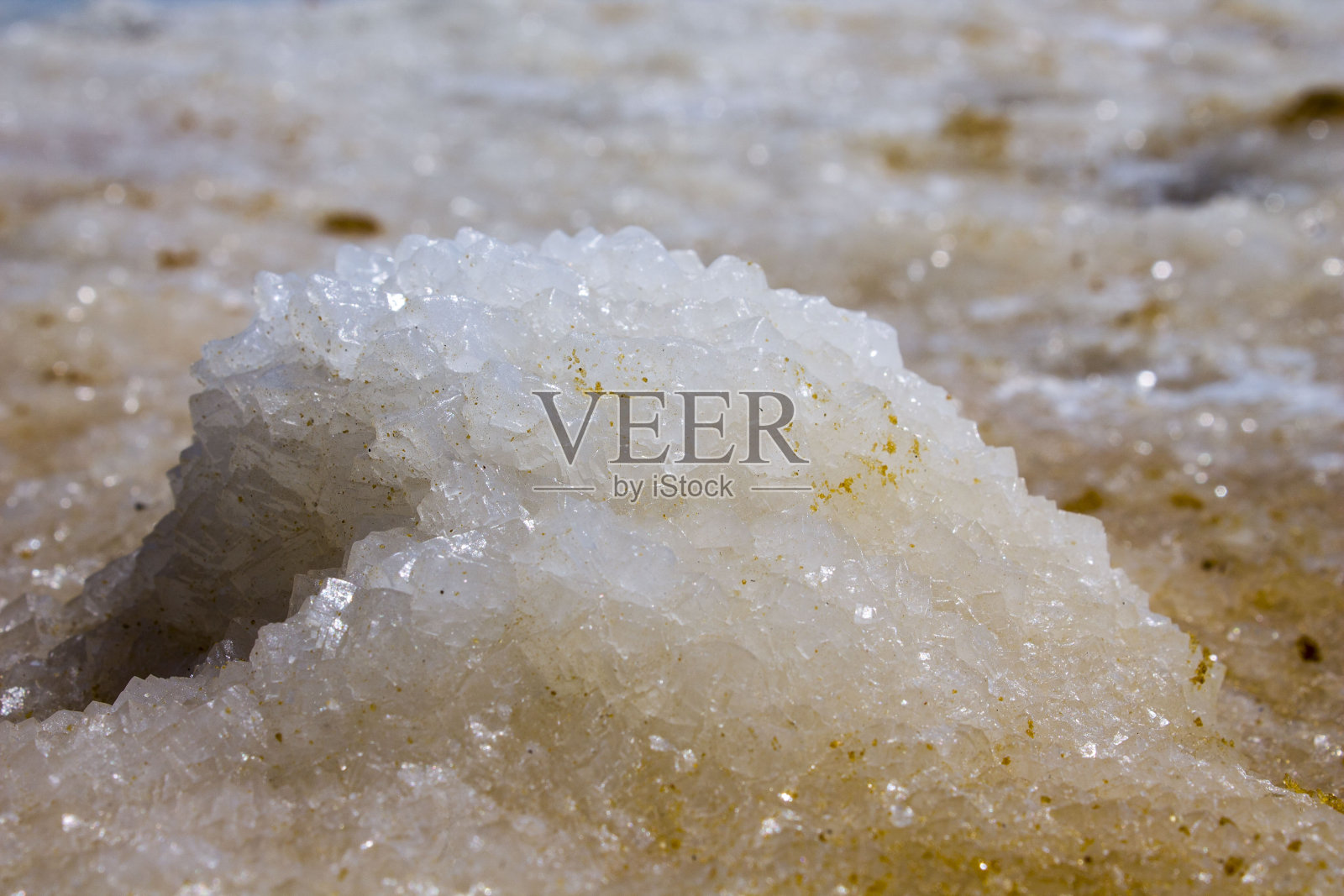 死海海滩上的一大块盐照片摄影图片