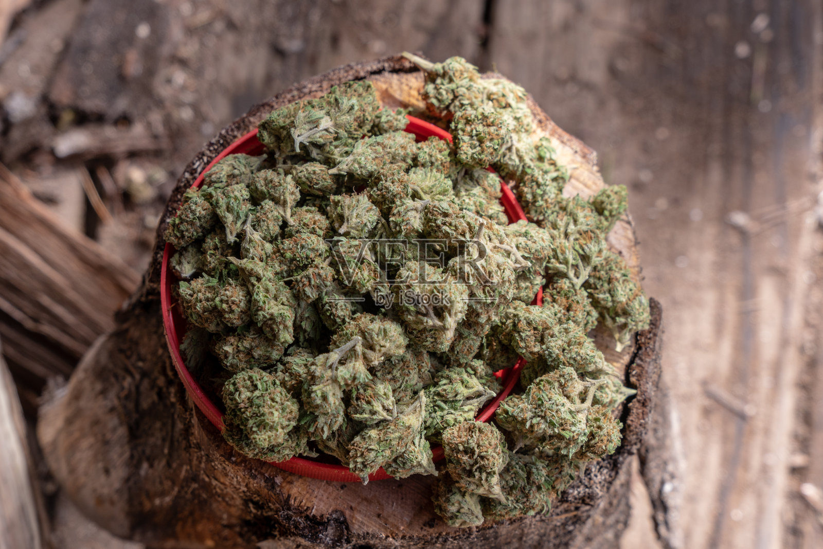 修剪过的大麻或大麻花或花蕾照片摄影图片