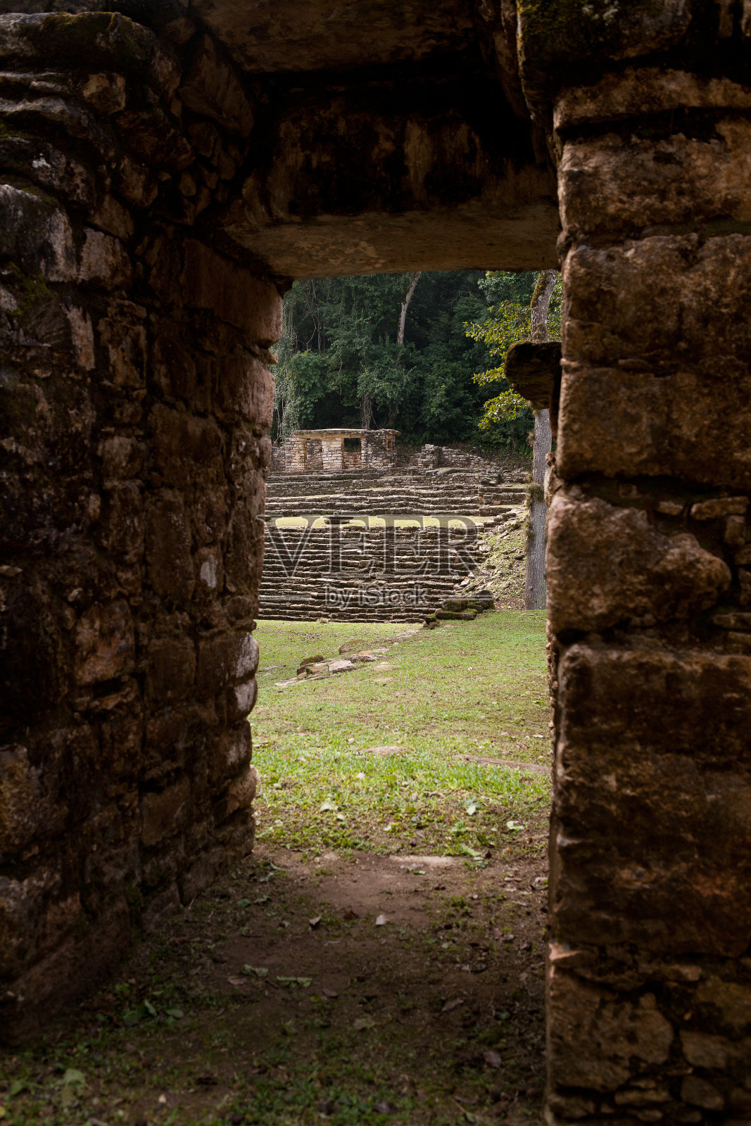 亚克斯奇兰是一座玛雅古城,位于墨西哥恰帕斯州乌苏马辛塔河岸边。照片摄影图片