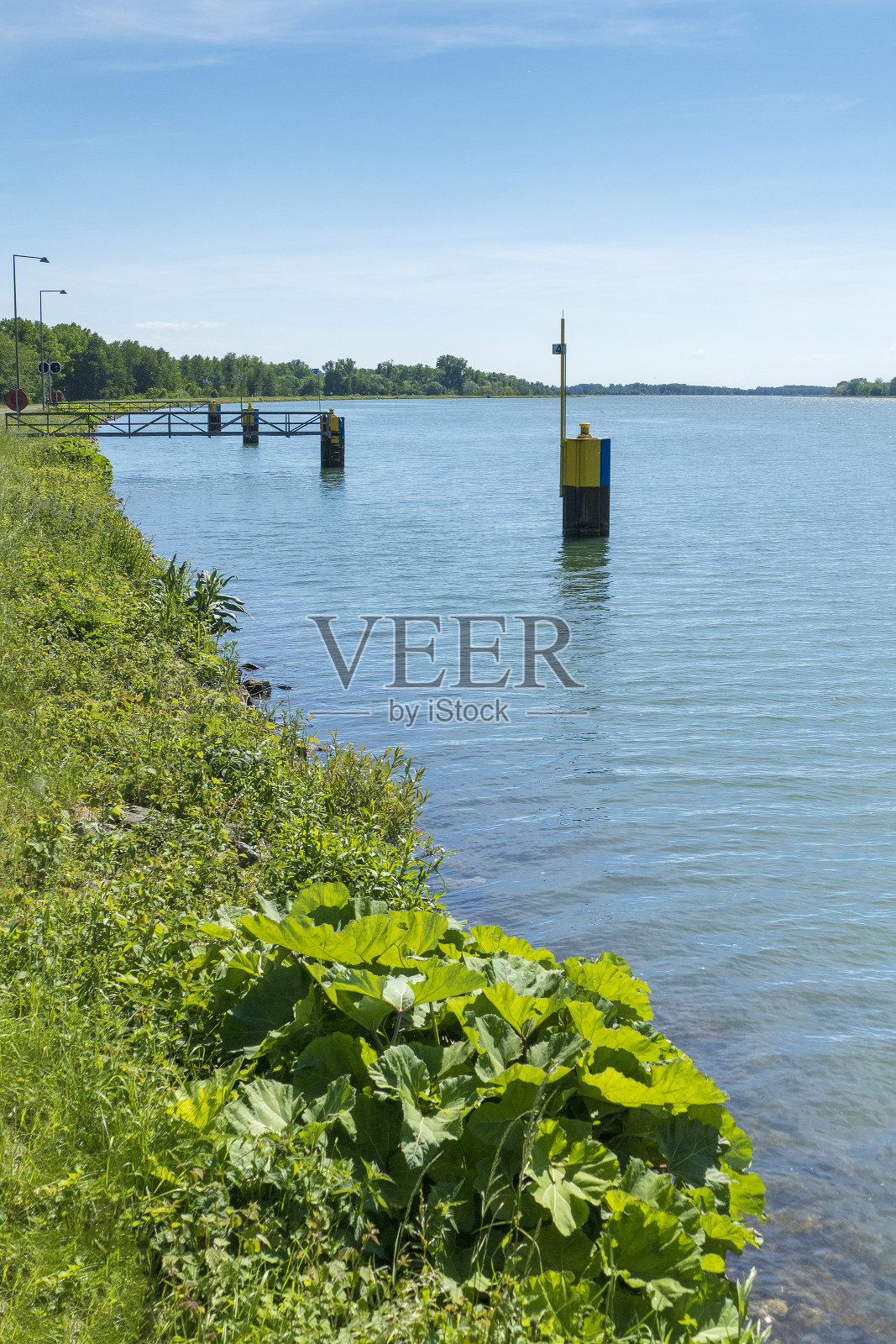 河流莱茵河照片摄影图片