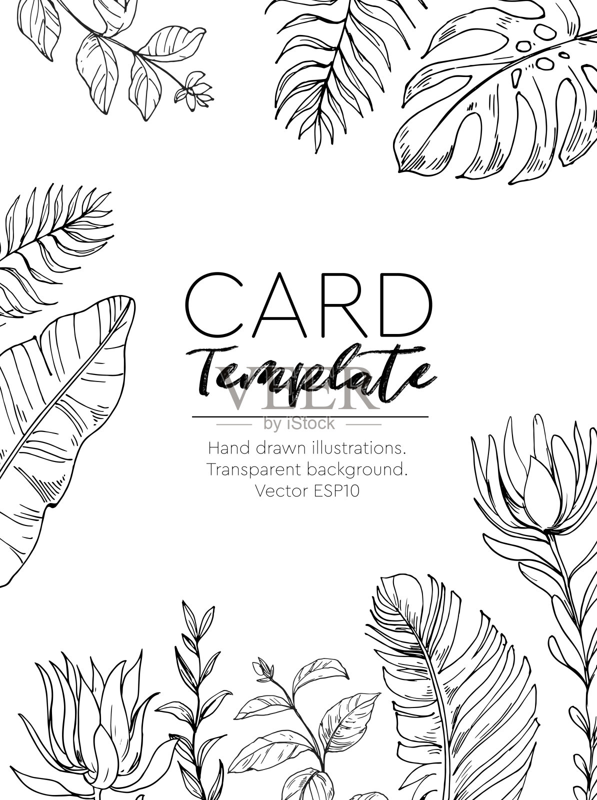 花载体背景与热带植物。手绘插图。插画图片素材