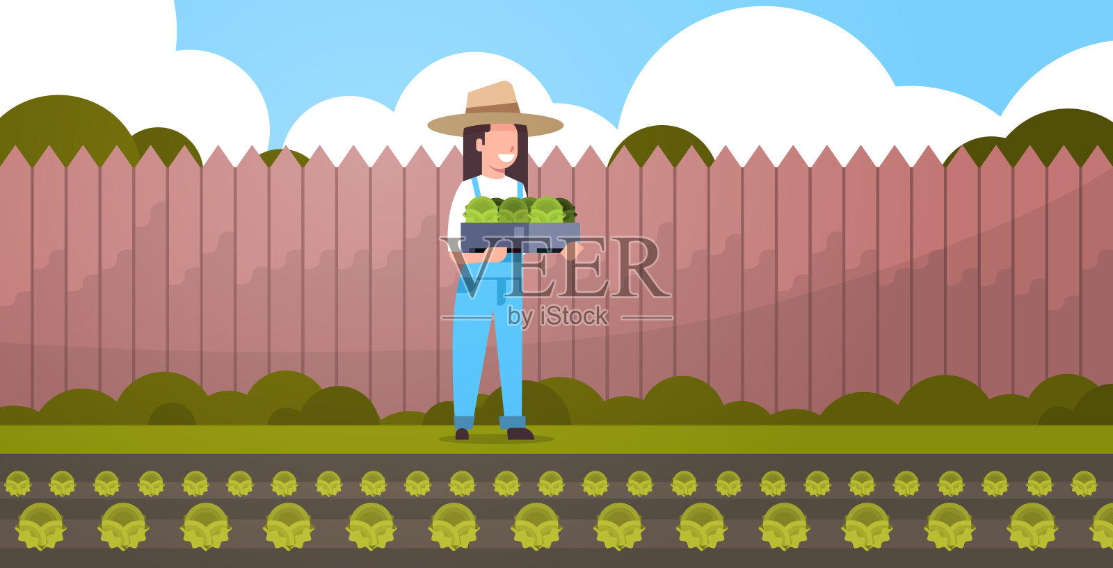 女农民抱着盒子用绿色新鲜的莴苣卷心菜妇女收获蔬菜农业工人在统一的生态耕作概念后院农田背景全长插画图片素材