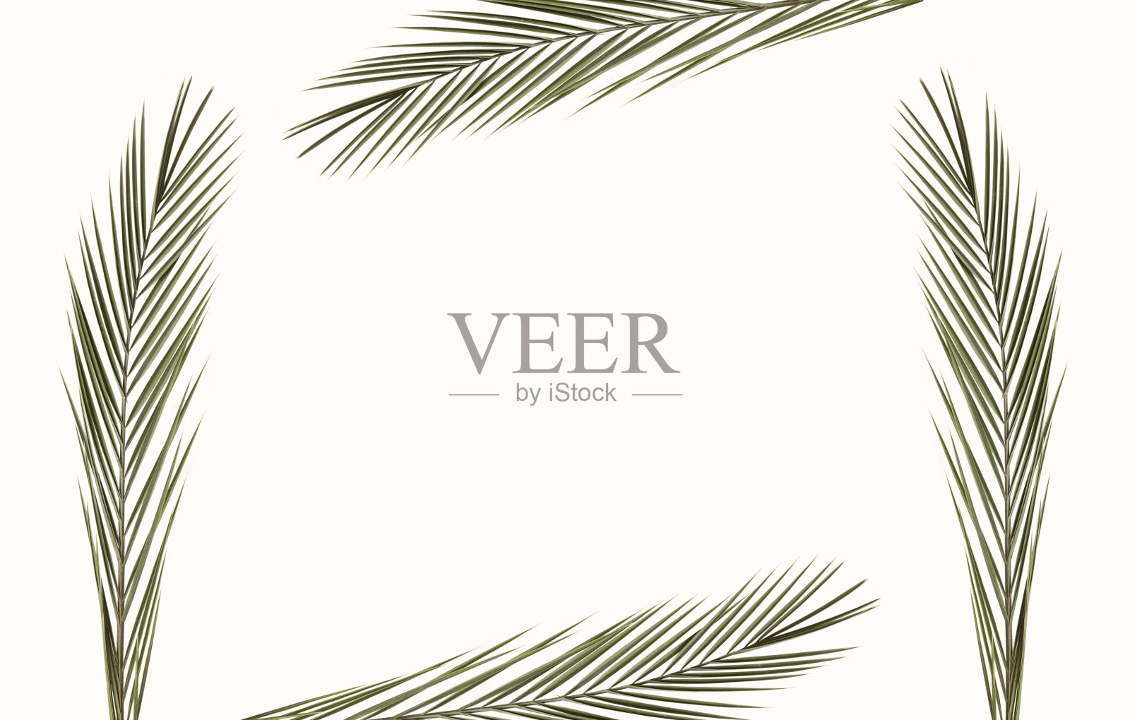 棕榈叶装饰背景照片摄影图片