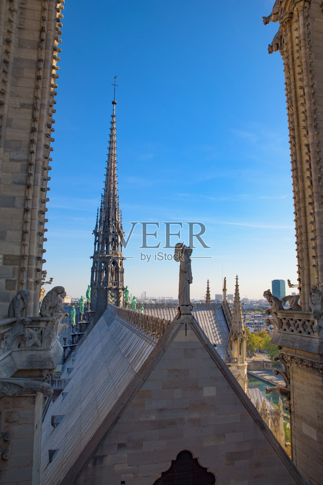 从法国巴黎圣母院的顶端俯瞰石像鬼和中心塔照片摄影图片