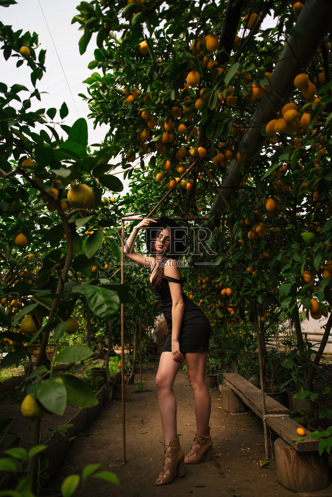 穿着黑色晚礼服的女人照片摄影图片