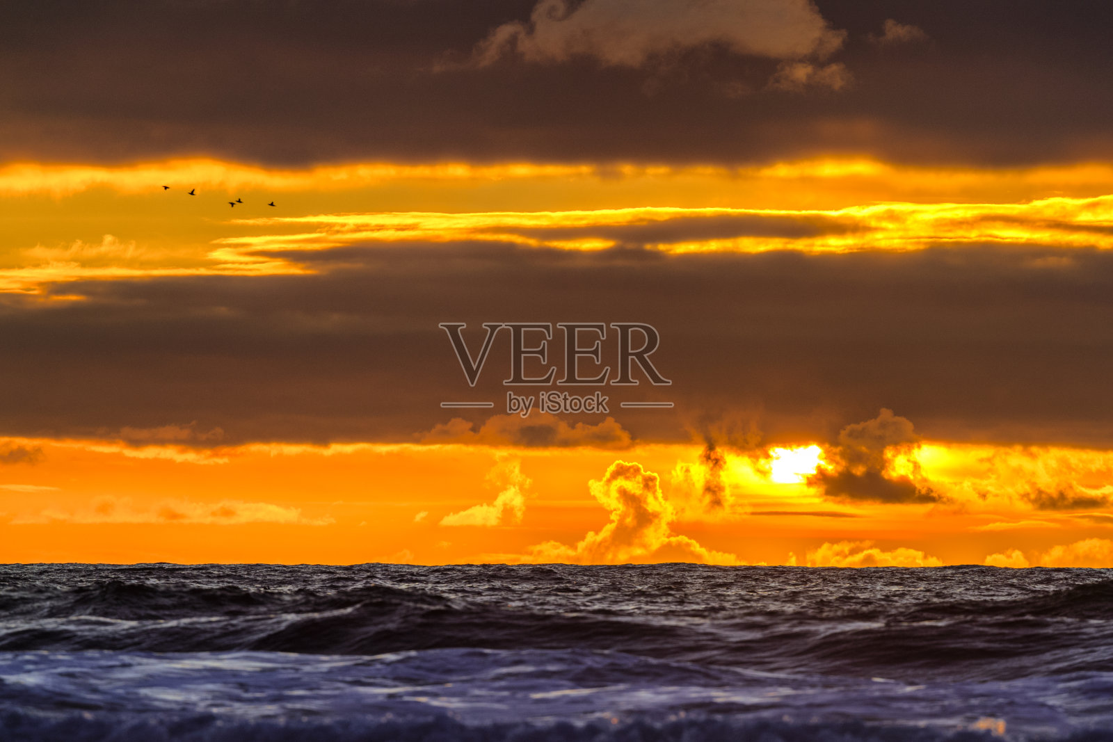 美国俄勒冈州沿海地区照片摄影图片