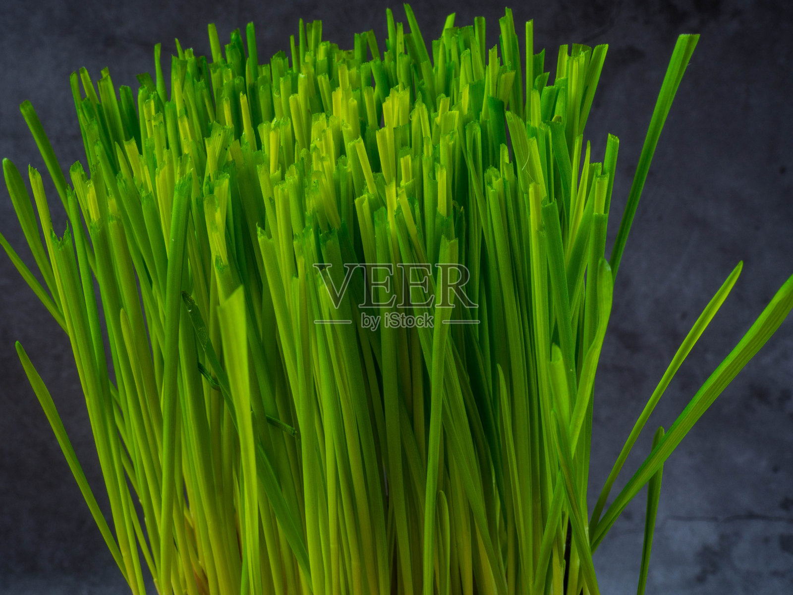 微型绿色芽的特写,麦草照片摄影图片