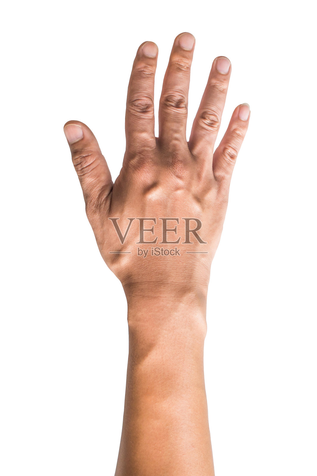 各种手势和手势的人的手孤立在白色背景与剪切路径。照片摄影图片