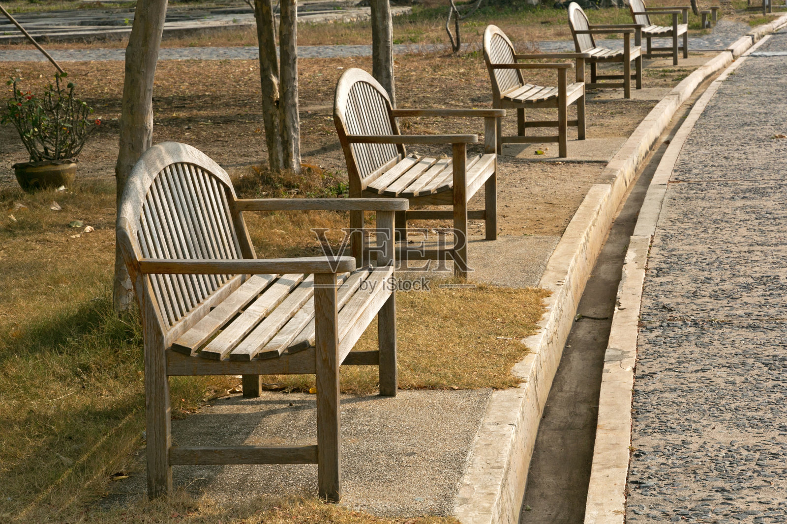 公园里的一排木椅。照片摄影图片