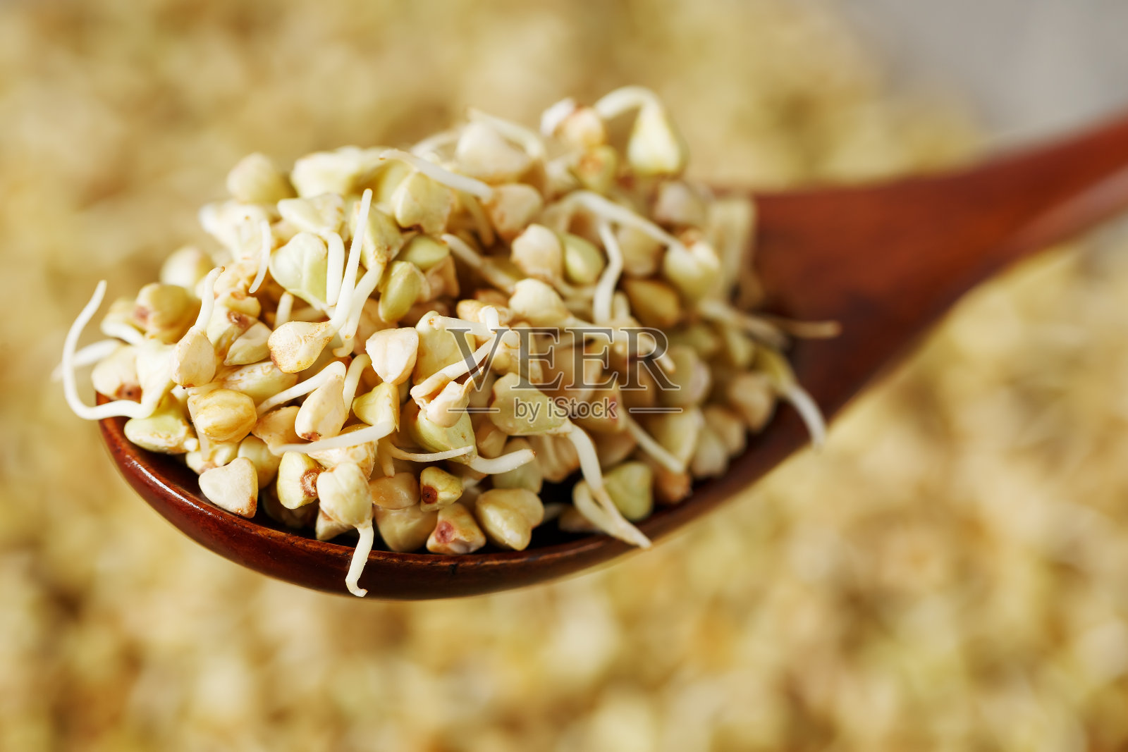 棕色木勺上放着绿色发芽的荞麦。生荞麦。从荞麦芽中提取的有用食物作为素食。照片摄影图片