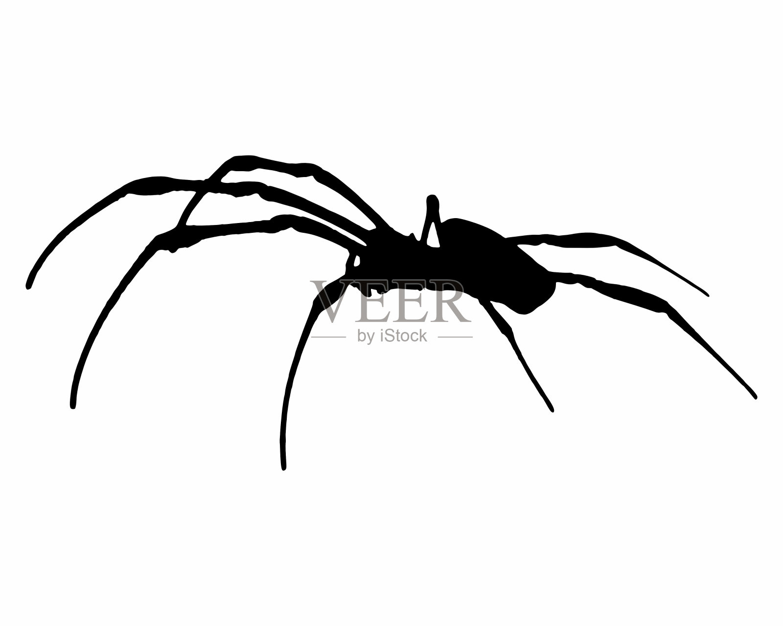 香蕉的蜘蛛插画图片素材