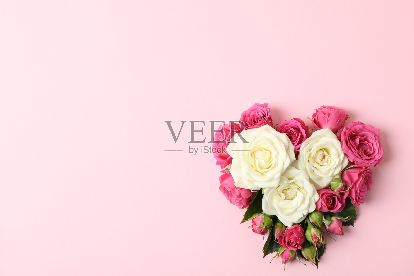 美丽的玫瑰心形的颜色背景,文字空间照片摄影图片